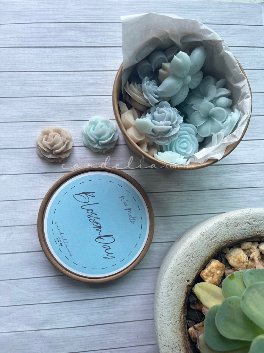 Tarro WaxMelts Neutrals